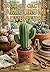 Simple Amigurumi Cactus: A Beginner's Crochet Pattern: Easy Step-by-Step Guide to Creating a Cute Potted Cactus (US Terms)