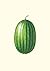 Carnet - Jardin potager et jardin fruitier