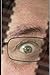 Diary of a Patient of the Present Mental and Psychiatric Hosp... by Rodney Hatfield Jr.