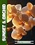 Sunset & Orchid Photo Book | Orchid Blooms Cast In Warm Sunse... by Harper Mitchell