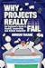 Why Projects Really Fail: An Engineer’s Guide to Quality, Leadership, and Human Judgment