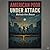 American Poor Under Attack: Third Edition (America Is Falling)