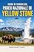 GUIDA DI VIAGGIO DEL PARCO NAZIONALE DI YELLOW STONE: Fauna selvatica, geyser, paesaggi suggestivi e una guida completa per la pianificazione del viaggio. (Italian Edition)