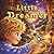 Little Dreamer: A Sweet Bedtime Story About Dreams and Magic