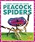 Peacock Spiders (Science Behind the Colors)