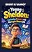 YOUNG SHELDON: CURIOSITY, BRAVERY AND THE SUPER SMART LIFE : HOW CURIOSITY AND COURAGE TURNED HIM INTO A YOUNG GENIUS
