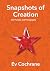 Snapshots of Creation: On P...