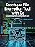 DEVELOP A FILE ENCRYPTION TOOL WITH GO : Secure Documents and Protect Data