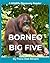 Borneo Big Five: A Wildlife...