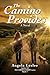 The Camino Provides (Camino...