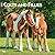 Colts and Fillies | 2027 12 x 24 Inch (Hanging) Monthly Square Wall Calendar | Plastic-Free | BrownTrout | Animals Equestrian
