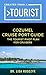 Greater Than a Tourist Cozumel Cruise Port Guide  by Lisa Rusczyk