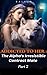 Addicted To Her: The Alpha's Irresistible Contract Mate Part 2