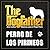 The Dogfather: Mantras para el Papá Perro - Perro de los Pirineos (Spanish Edition)