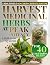 HARVEST MEDICINAL HERBS AT ...