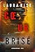 Cœur brisé (Un thriller d'Ivy Pane — tome 2) (French Edition)