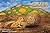 TYLER THE TUMBLEWEED MEETS ...
