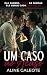Um Caso ao Acaso (Os Irmãos...