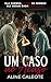Um Caso ao Acaso (Os Irmãos Smith Livro 1) (Portuguese Edition)