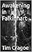 Awakening in Falkinhart