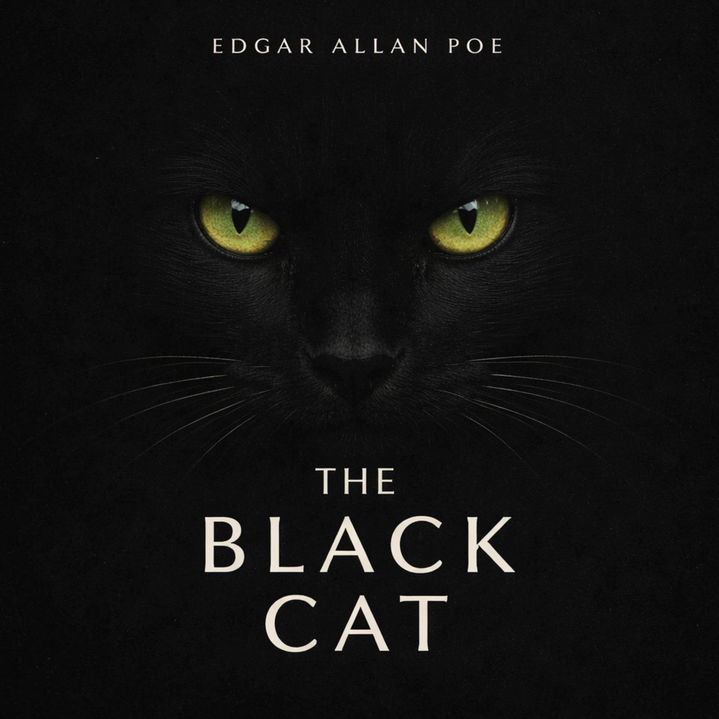 The Black Cat