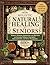 Holistic Natural Healing for Seniors : Simple Herbal Remedies and Recipes for Everyday Wellness, Pain Relief, Boost Immunity, and Stress Management
