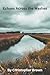 Echoes Across the Washes