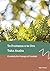 Te Poutama o te Ora Taha Auaha - Creative Wellness (Life Realignment - Te Poutama o te Ora (TPO) - A path to wellness)