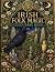 Irish Folk Magic Colouring Book by d. mccormick