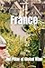 France: The Pillar of Global Wine (Wines of the World: France)