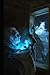 SAINT MALO: SALT AND THE CROSS: FROM BRITTANY TO THE UNKNOWN (Il Sale e la Croce)