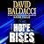 Hope Rises (Walter Nash)