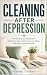 Cleaning After Depression: ...