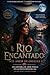 Rio Encantado: El Amor de Omacha: Una historia de Amor tóxico en las profundidades del Gran Rio Amazonas (Mitos del Amor en el Amazonas) (Spanish Edition)