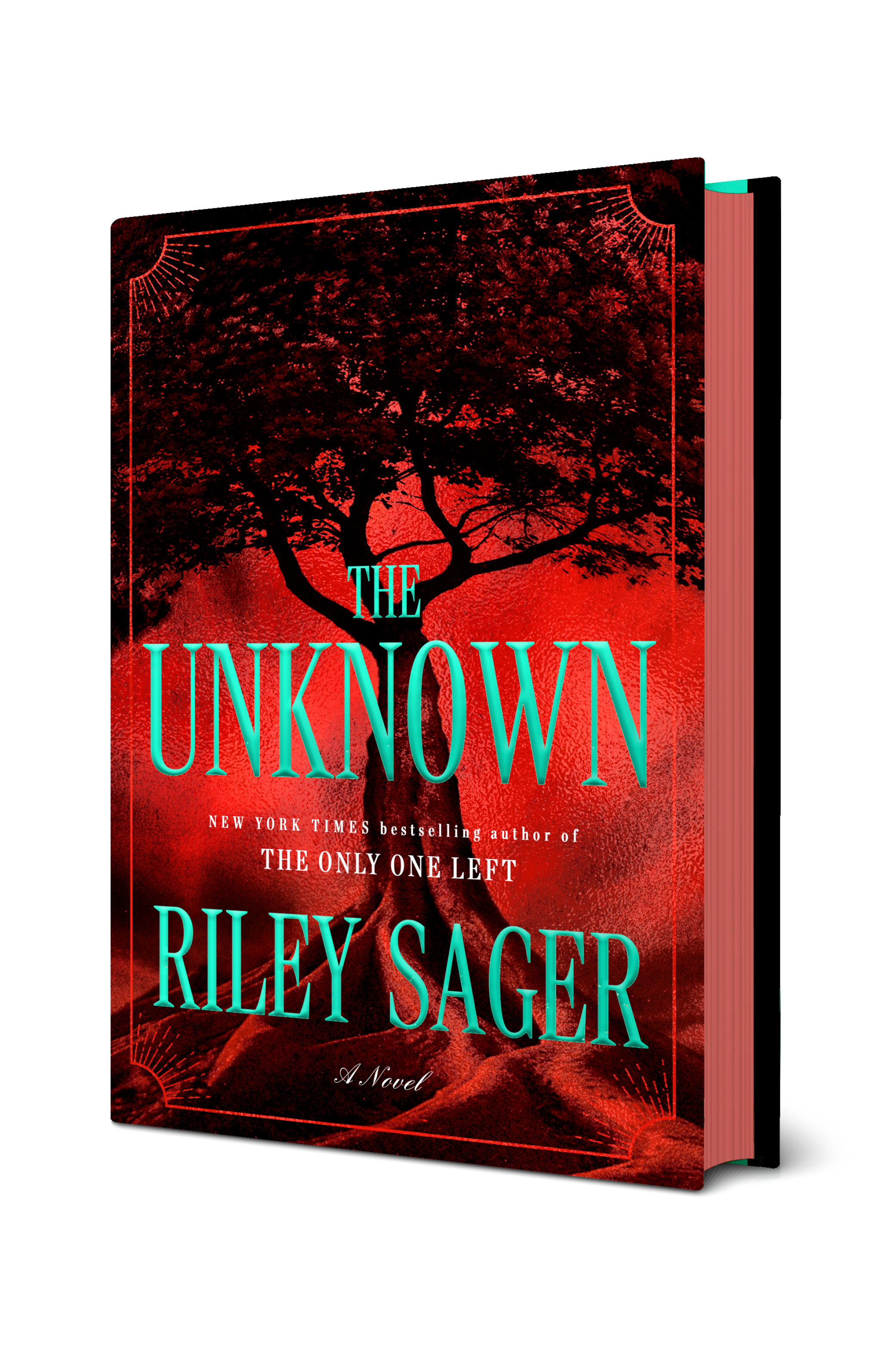The Unknown (Hardcover)