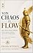 Von Chaos zu Flow: Die zwei Wege der KI: Warum Systeme scheitern - und wie Sie sie beherrschen (German Edition)