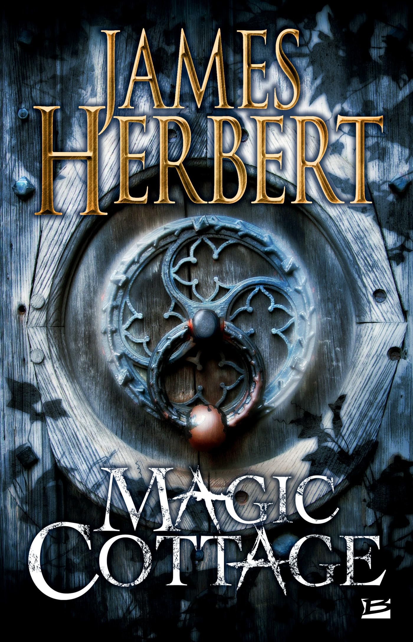 Magic Cottage (Kindle Edition)