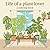 Life of a plant lover