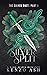 Silver Split by Kenzo Ash
