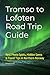 Tromso to Lofoten Road Trip Guide: Best Photo Spots, Hidden Gems & Travel Tips in Northern Norway