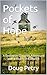 Pockets of Hope (The Republic of Dan Book 2)