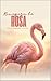 Recupera Tu Rosa: Guía para mujeres que buscan redescubrirse (Spanish Edition)
