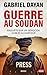 Guerre au Soudan: Enquête sur un génocide oublié au Darfour (French Edition)