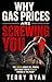 Why Gas Prices Are Screwing You: The truth about oil, power, and what you're really paying at the pump