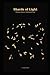 Shards of Light: Poems of Shards of a Mirrored Sun