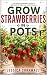 Grow Strawberries in Pots by Jessica Cornwall