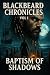 Blackbeard Chronicles by Samuel Hurley