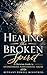 Healing the Broken Spirit: A Christian Guide to Overcoming Narcissistic Abuse