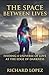 The Space Between Lives: Finding a Universe of Love at the Edge of Darkness