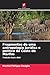 Fragmentos de uma antropologia jurídica e política da Costa do Marfim (Portuguese Edition)